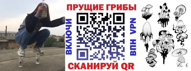 что такое наркотик  Ставрополь  Псилоцибиновые грибы GOLDEN TEACHER 