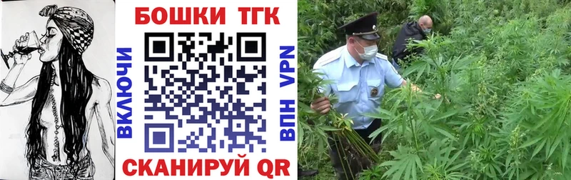 дарнет шоп  Ставрополь  Бошки марихуана OG Kush 